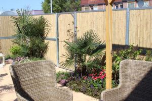Ecran jardin bamboowall – CNVA – Paris